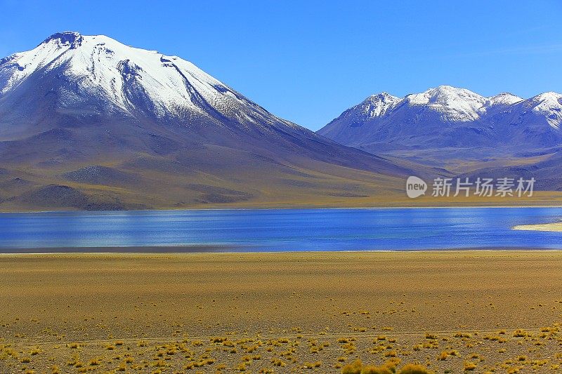 Lagunas Miñiques和Miscanti -湖泊和雪顶火山山-绿松石湖和田园般的阿塔卡马沙漠，火山景观全景-圣佩德罗阿塔卡马，智利，Bolívia和阿根廷边境